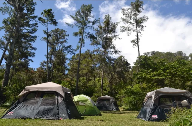 Pinar del Valle Constanza Camping